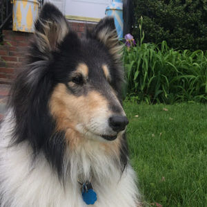 Meet your Posher, Ella